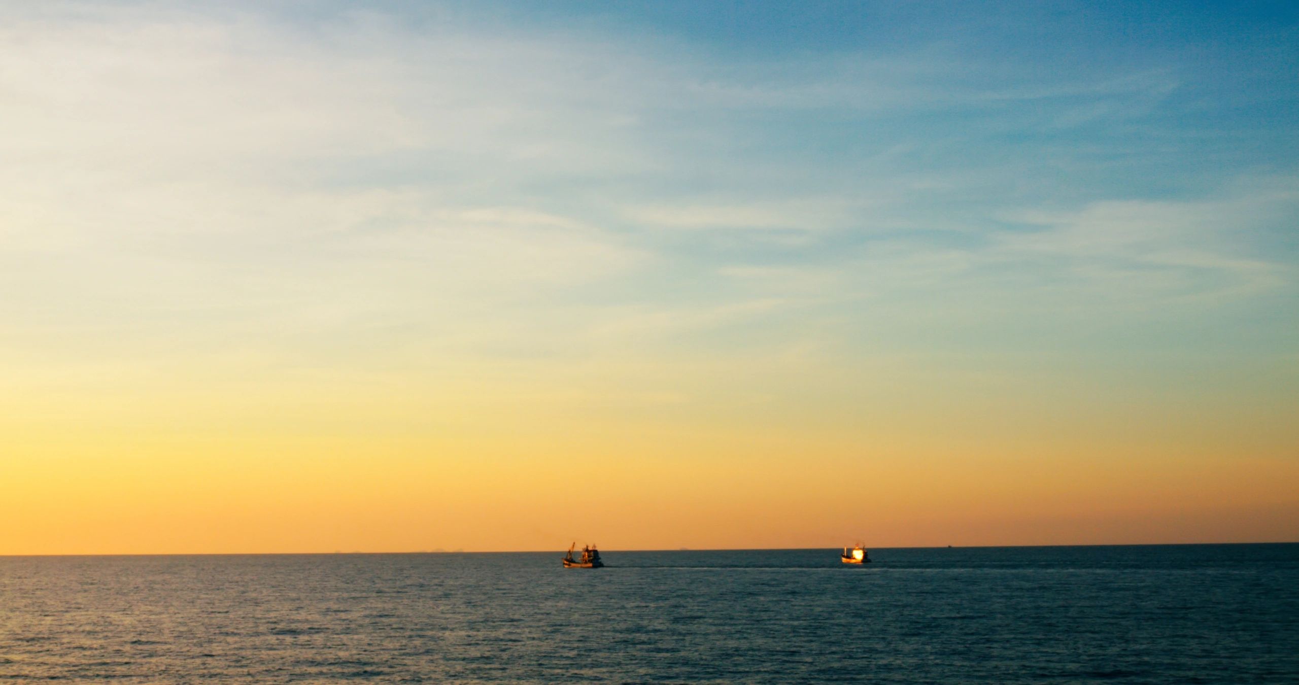 Dolphin sighting during Sarasota sunset cruise