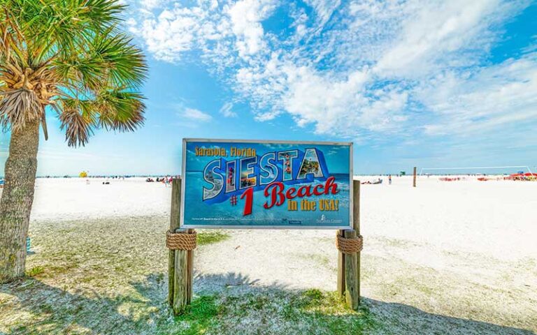Siesta Key beach sign and palms near the shoreline